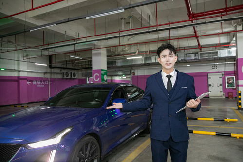 專業(yè)汽車銷售顧問 商務(wù)車與豪車銷售的藝術(shù)與攝影